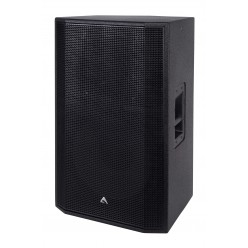 AXIOM ED150P ED Series 2-drożna kolumna głośnikowa